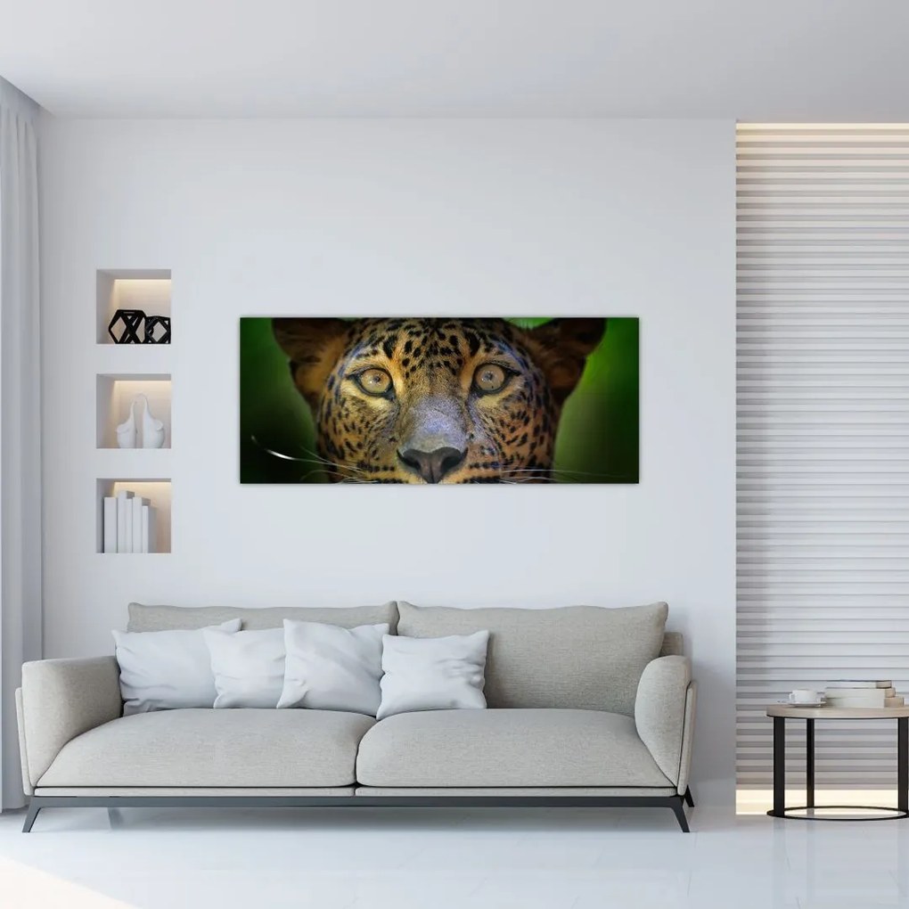 Obraz - Portrét leoparda, Sri Lanka (120x50 cm)