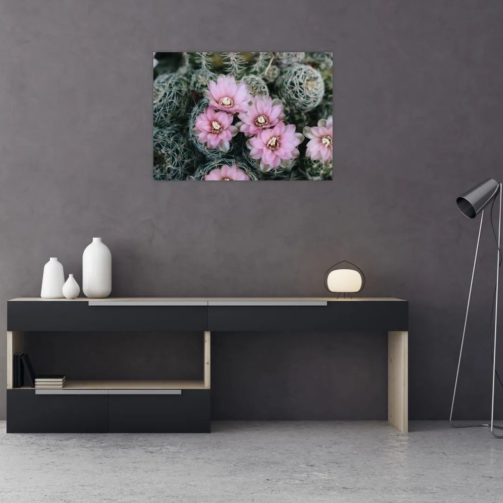 Sklenený obraz kvet kaktusu (70x50 cm)