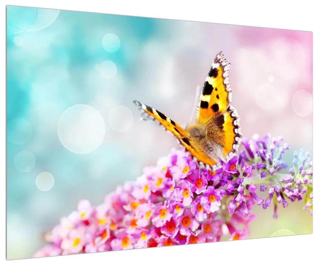 Obraz motýľa na kvetoch (90x60 cm)