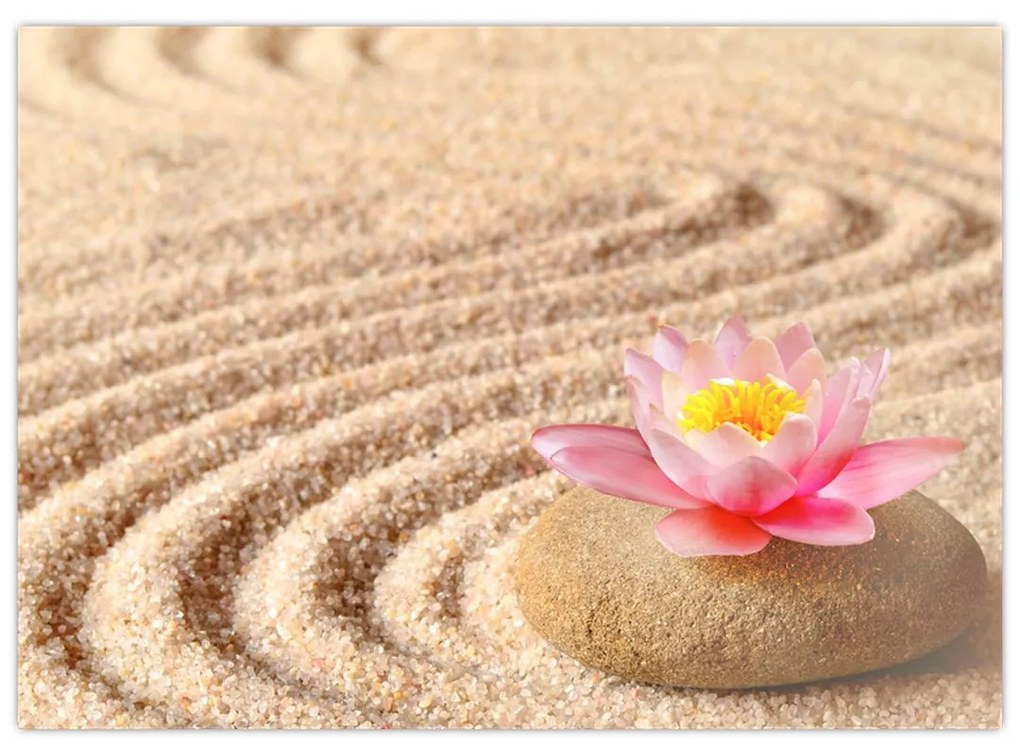 Sklenený obraz kameňa s kvetinou na piesku (70x50 cm)