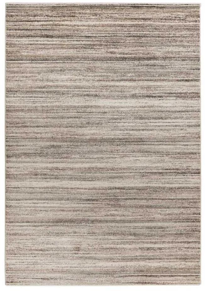 Lalee Kusový koberec Trendy 406 Beige-Silver Rozmer koberca: 200 x 290 cm