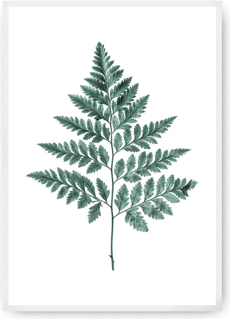 Plagát Fern 21 x 30 cm Emerald Green