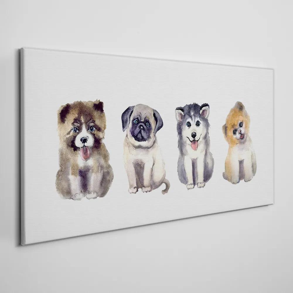 Obraz canvas Abstrakcie zvierat psov