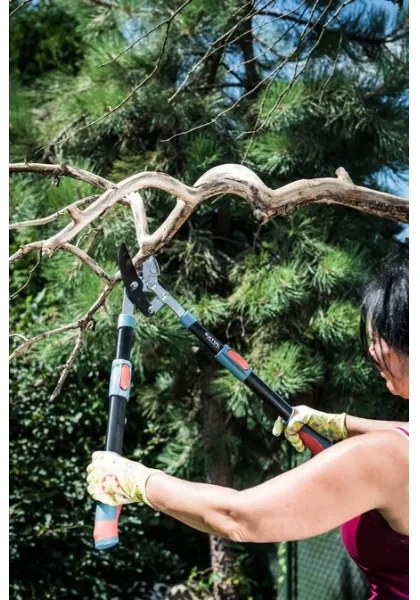 Extol Premium - Teleskopické nožnice na konáre prevodové kovadlinkové 670-940 mm