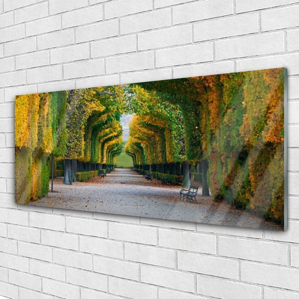 Obraz na akrylátovom skle Park jeseň záhrada príroda 125x50 cm