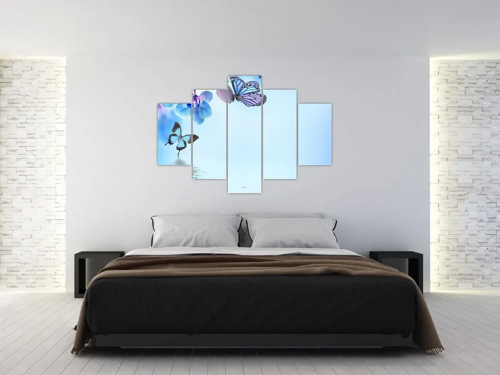 Obraz - Motýľ na kvetoch orchidey, modrý (150x105 cm)