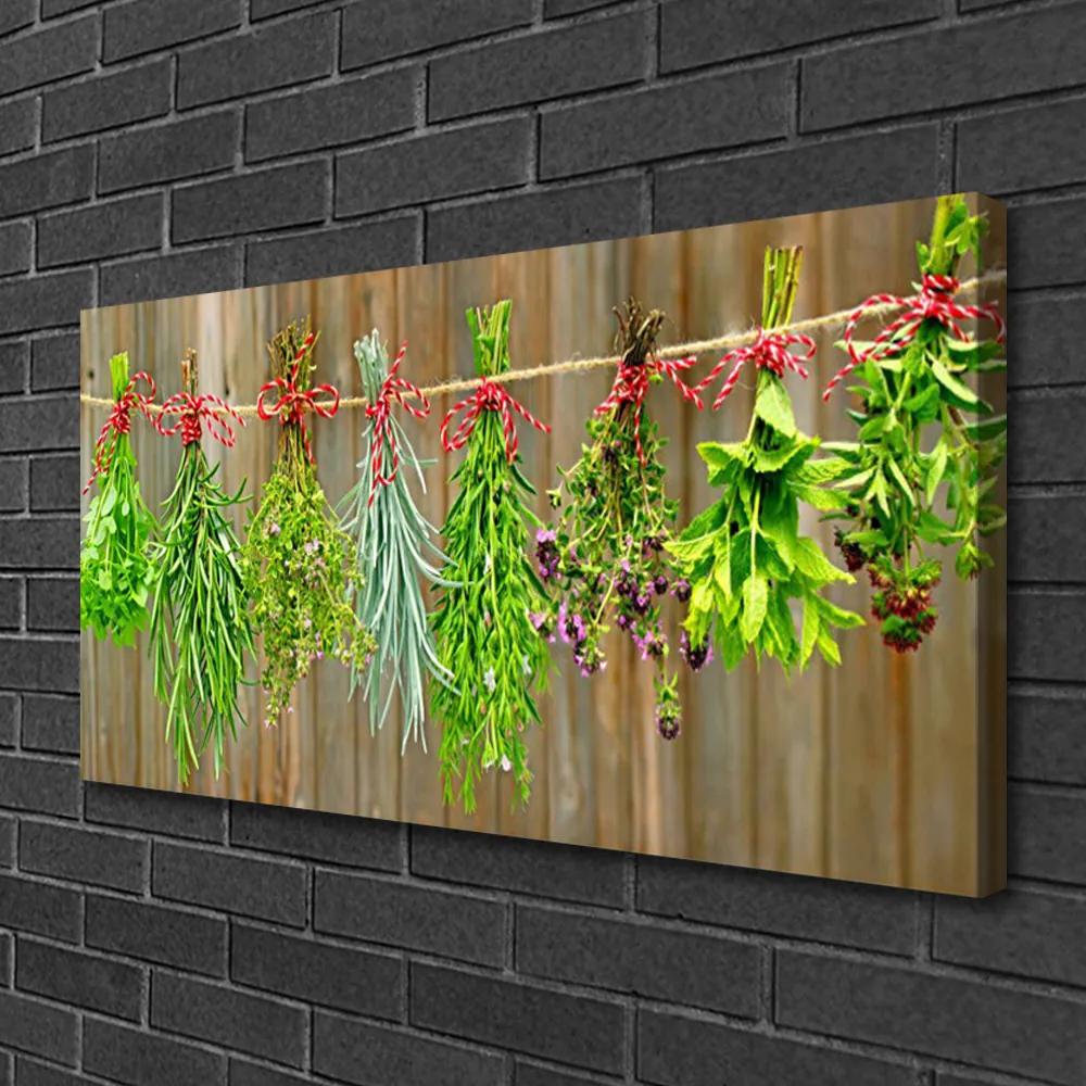 Obraz Canvas Sušené byliny listy príroda 140x70 cm