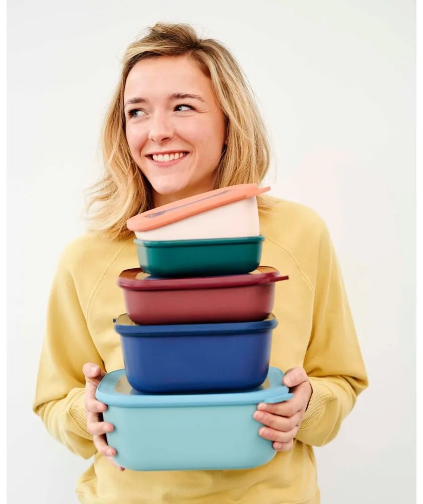 Svetlomodrá dóza na potraviny Mepal Multi, 500 ml