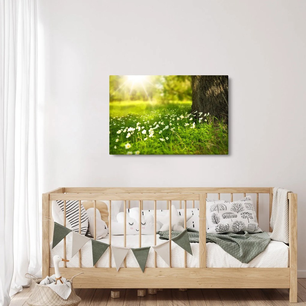Obraz paseky a kvetín (90x60 cm)