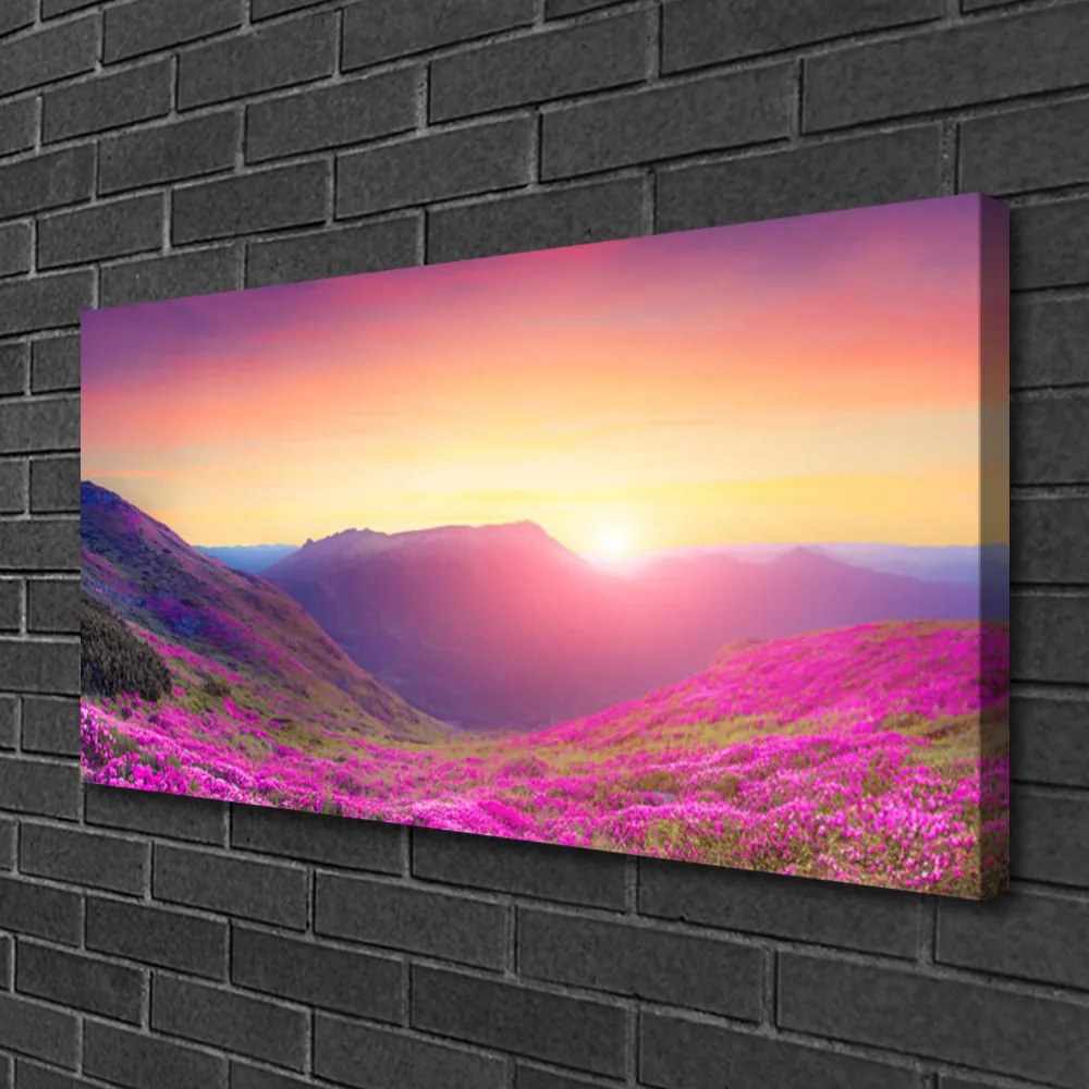 Obraz Canvas Slnko hory lúka príroda 140x70 cm