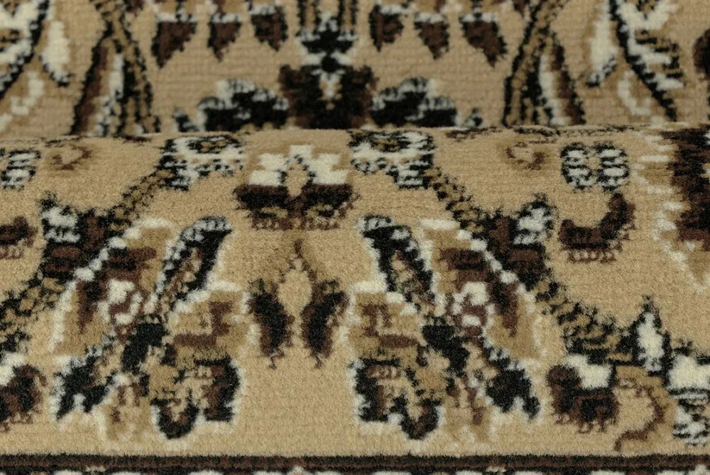 Sintelon, Kusový koberec Teheran Practica 59 / EVE, 80x150, béžová, chodba / predsieň