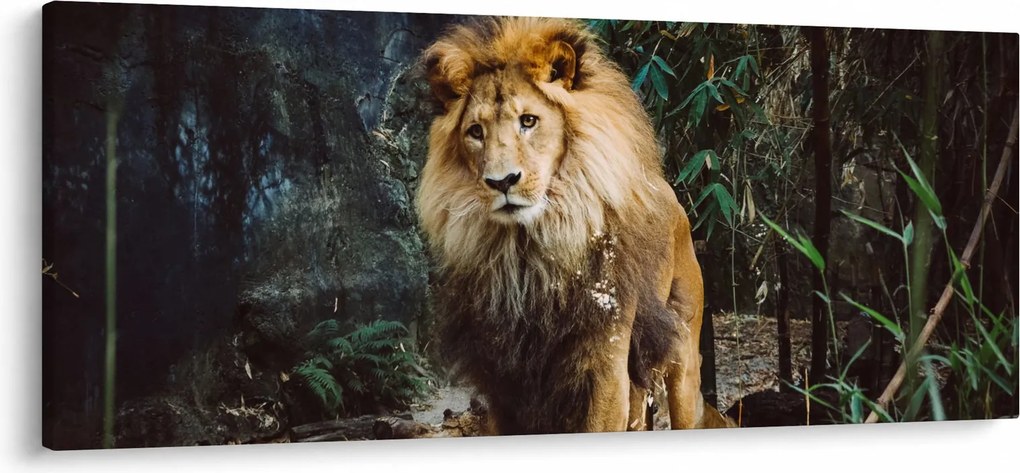 Obraz leva v prírode (120x50 cm)