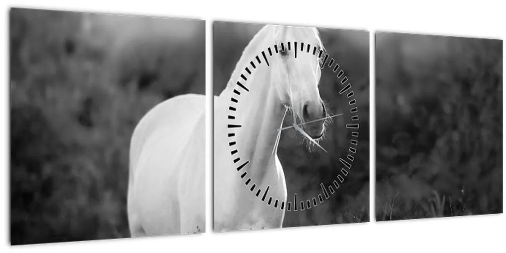 Obraz bieleho koňa na lúke, čiernobiela (s hodinami) (90x30 cm)