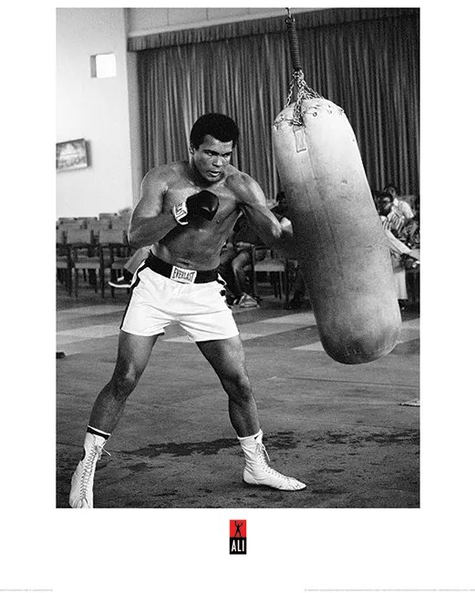 Umelecká tlač Muhammad Ali - Punch Bag