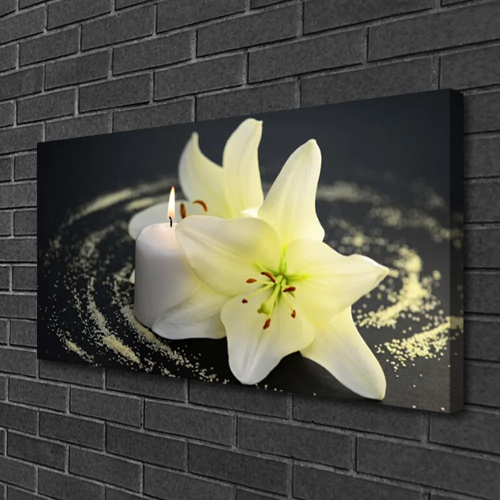 Obraz Canvas Kvet rastlina príroda 120x60 cm