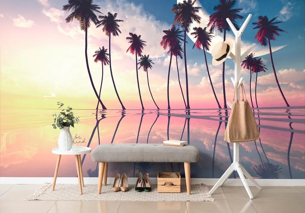 Samolepiaca tapeta exotické palmy pri zapadajúcom slnku