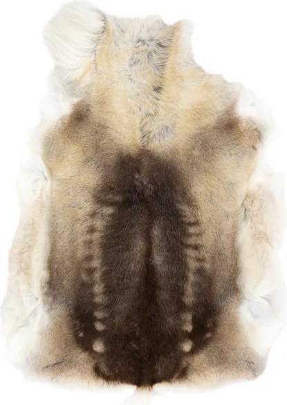 Koberec RENIFER POK016 hnedý / béžový