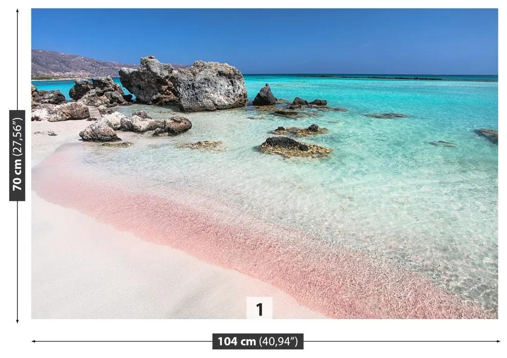 Fototapeta Vliesová More ružového piesku 208x146 cm