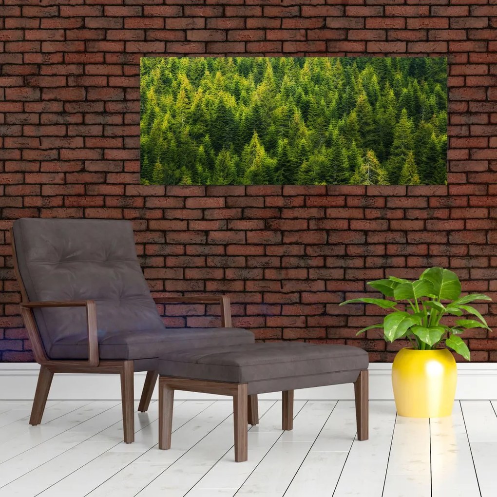 Obraz - Hustý les (120x50 cm)