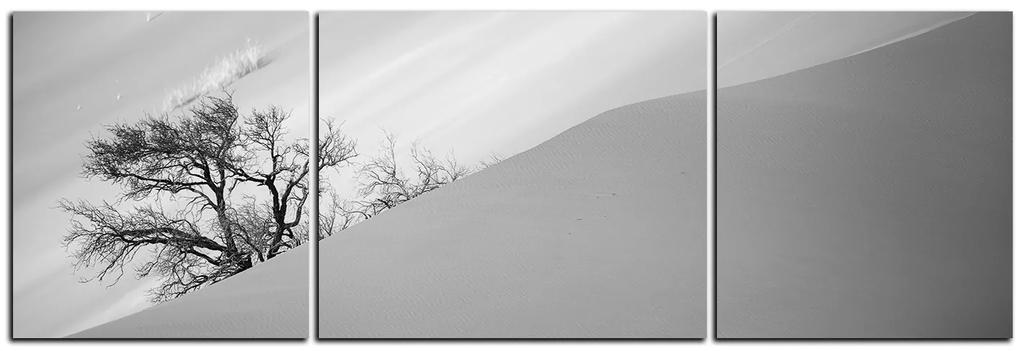 Obraz na plátne - Červené piesočné duny - panoráma 5133QC (90x30 cm)