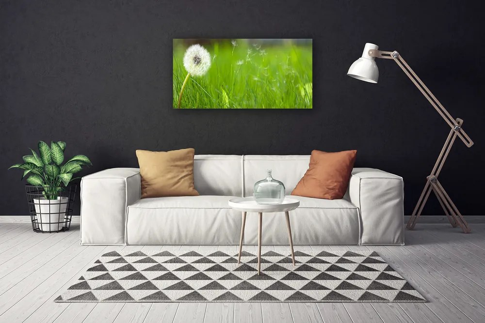 Obraz na plátne Púpava tráva rastlina 140x70 cm