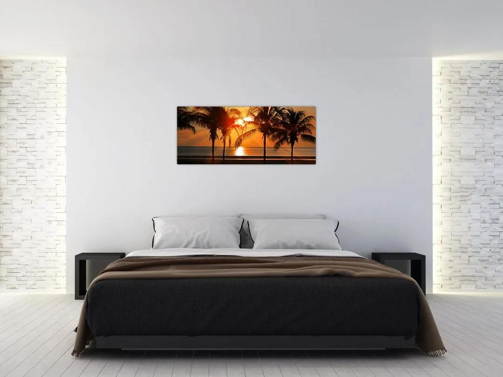 Obraz palmy v západe slnka (120x50 cm)