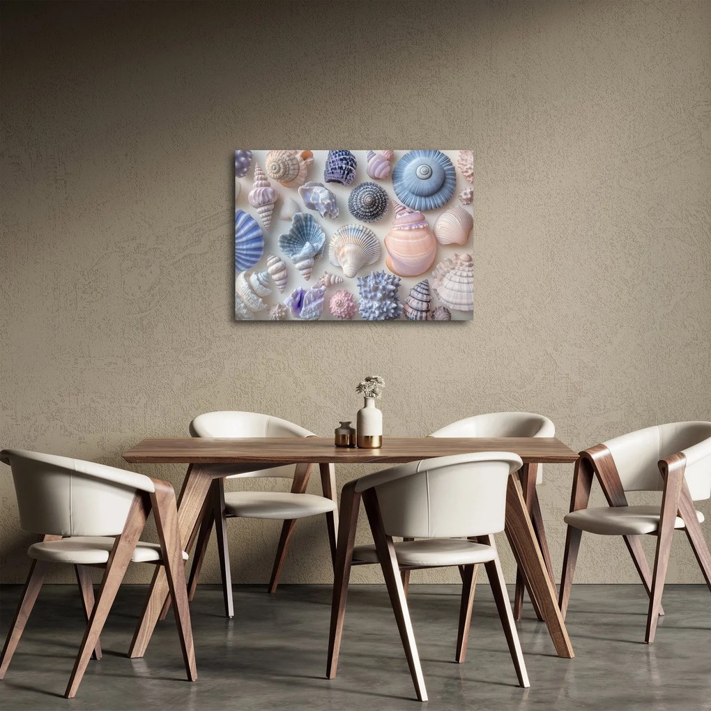 Obraz - Zbierka mušlí (70x50 cm)