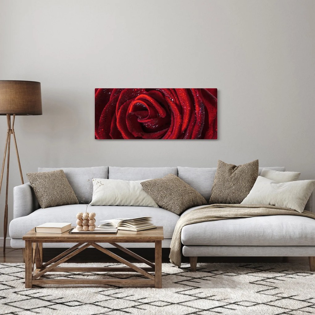 Obraz - Červená ruža s kvapkami rosy (120x50 cm)