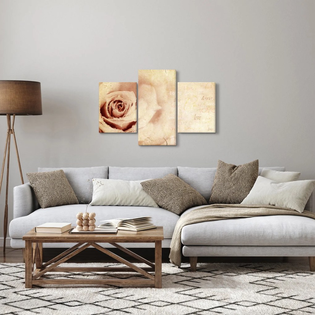 Obraz - Kvet ruže pre zaľúbených (90x60 cm)