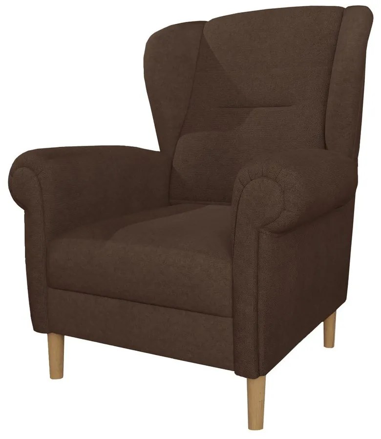 Tmavohnedé kreslo ušiak Swan – Ropez