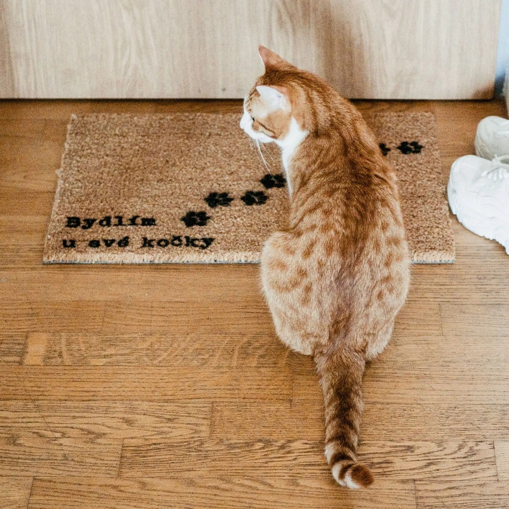 Bella Rose Rohožka Bydlím u své kočky - CZ