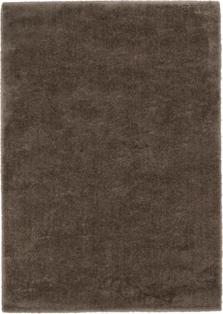 Astra - Golze koberce Kusový koberec Rivoli 160060 Brown - 200x290 cm