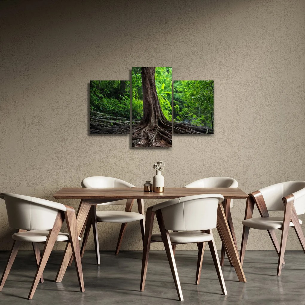 Obraz - Starý strom s koreňmi (90x60 cm)