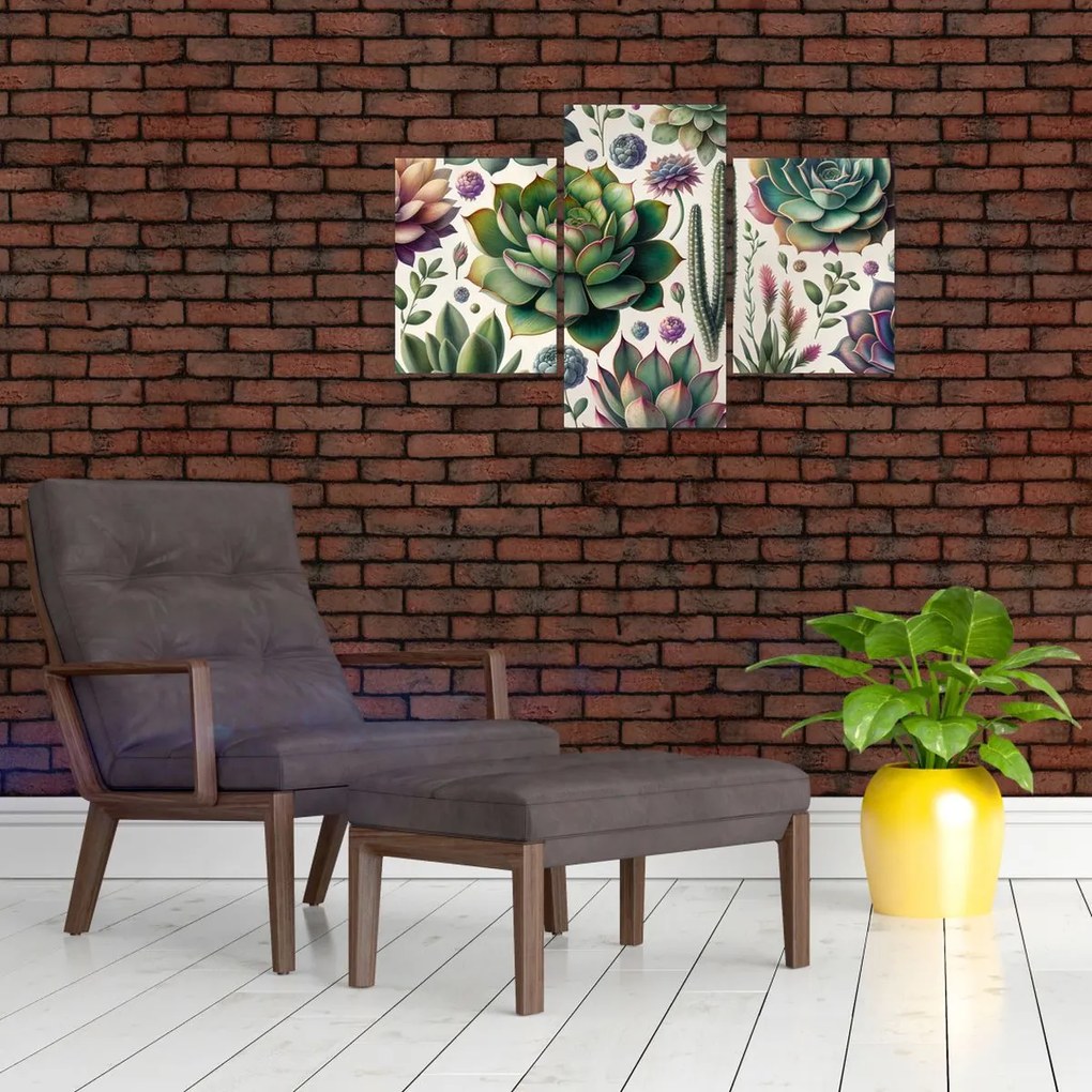 Obraz - Sukulenty (90x60 cm)