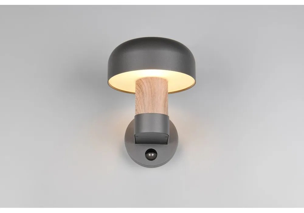 Nástenné vonkajšie svietidlo (výška 24,5 cm) Fraser – Trio