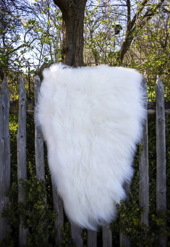 Ovčia kožušina Islandská ovca biela