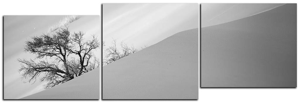 Obraz na plátne - Červené piesočné duny - panoráma 5133QD (90x30 cm)