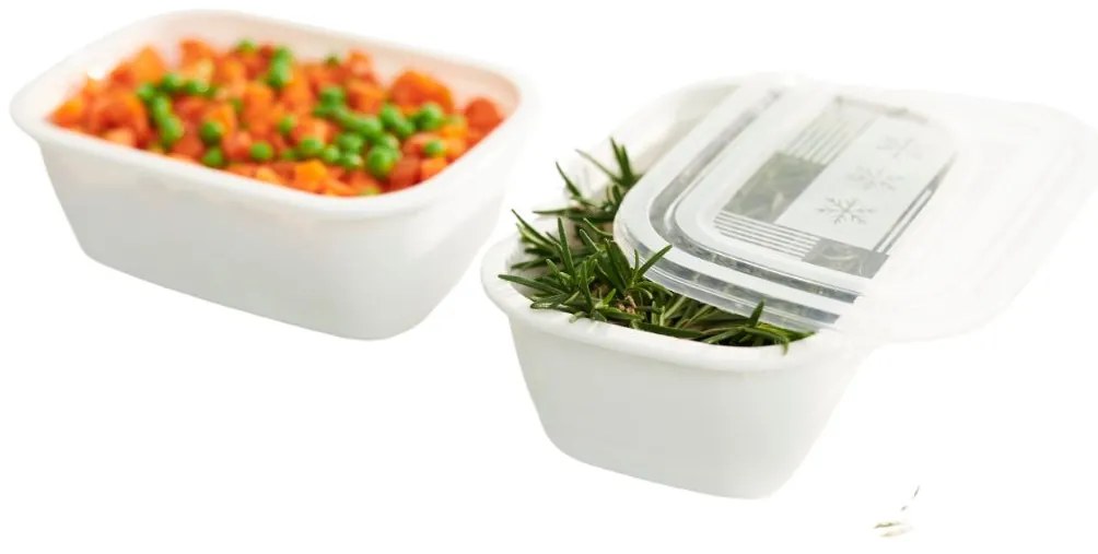 Plastové dózy do mrazničky, Rotho FREEZE, biela, sada 2 x 1,9l (24x16x8)