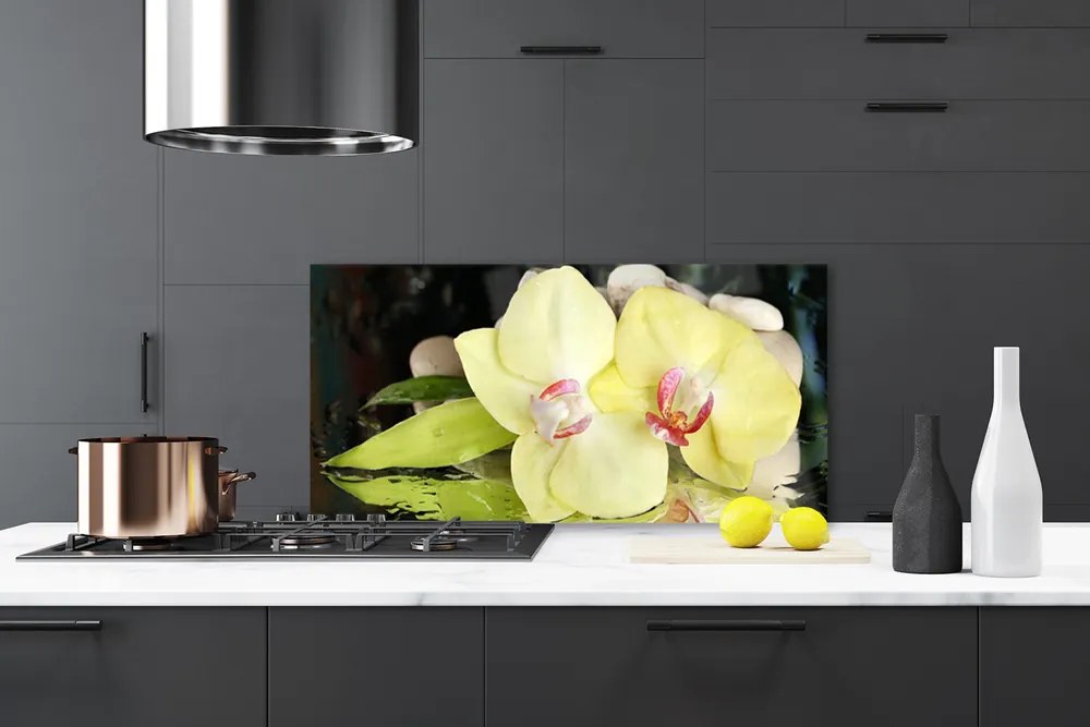 Sklenený obklad Do kuchyne Okvetné plátky orchidea 120x60 cm
