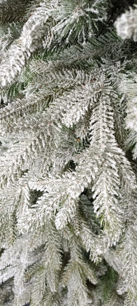 Limpol Vianočný stromček Exkluzívna matná jedľa Výška stromčeka: 120 cm