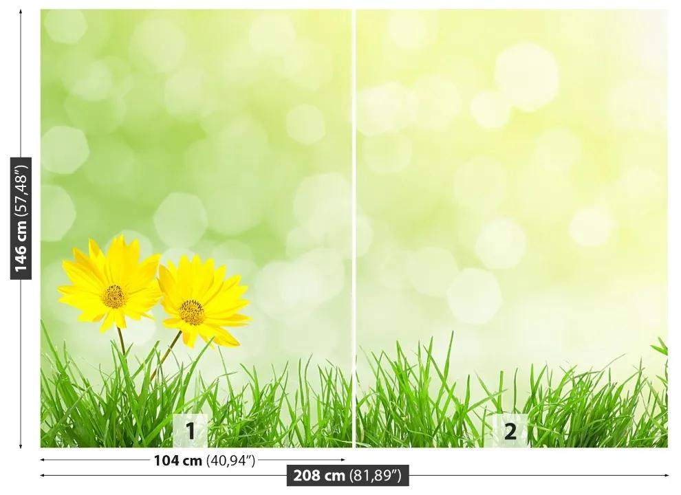 Fototapeta Vliesová Kvety tráva 104x70 cm