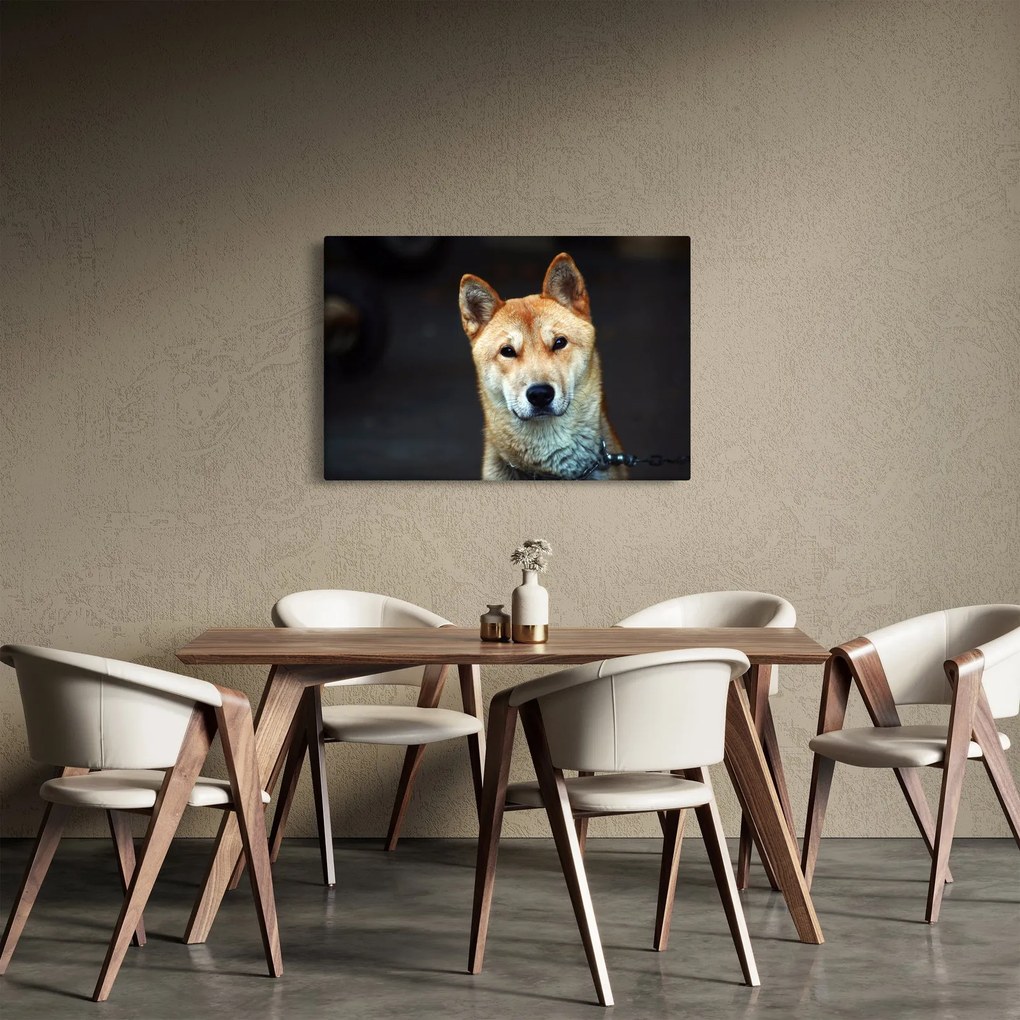Obraz psa (90x60 cm)
