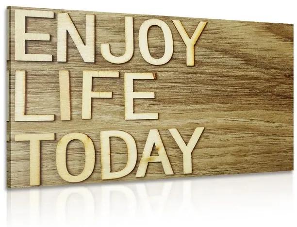 Obraz s citátom - Enjoy life today - 120x80
