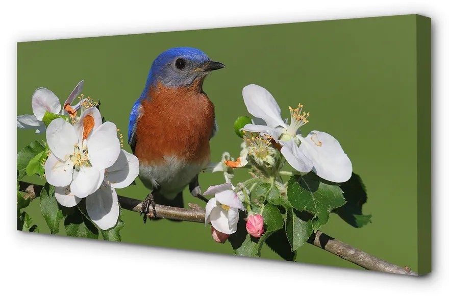 Obraz na plátne Kvety farebné papagáj 140x70cm