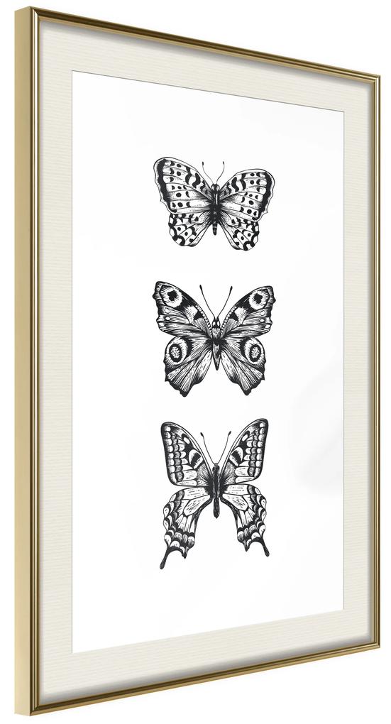 Artgeist Plagát - Three Butterflies [Poster] Veľkosť: 20x30, Verzia: Čierny rám