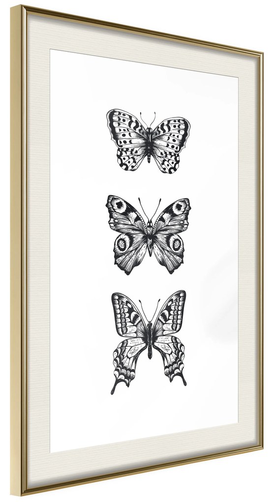 Artgeist Plagát - Three Butterflies [Poster] Veľkosť: 30x45, Verzia: Zlatý rám s passe-partout