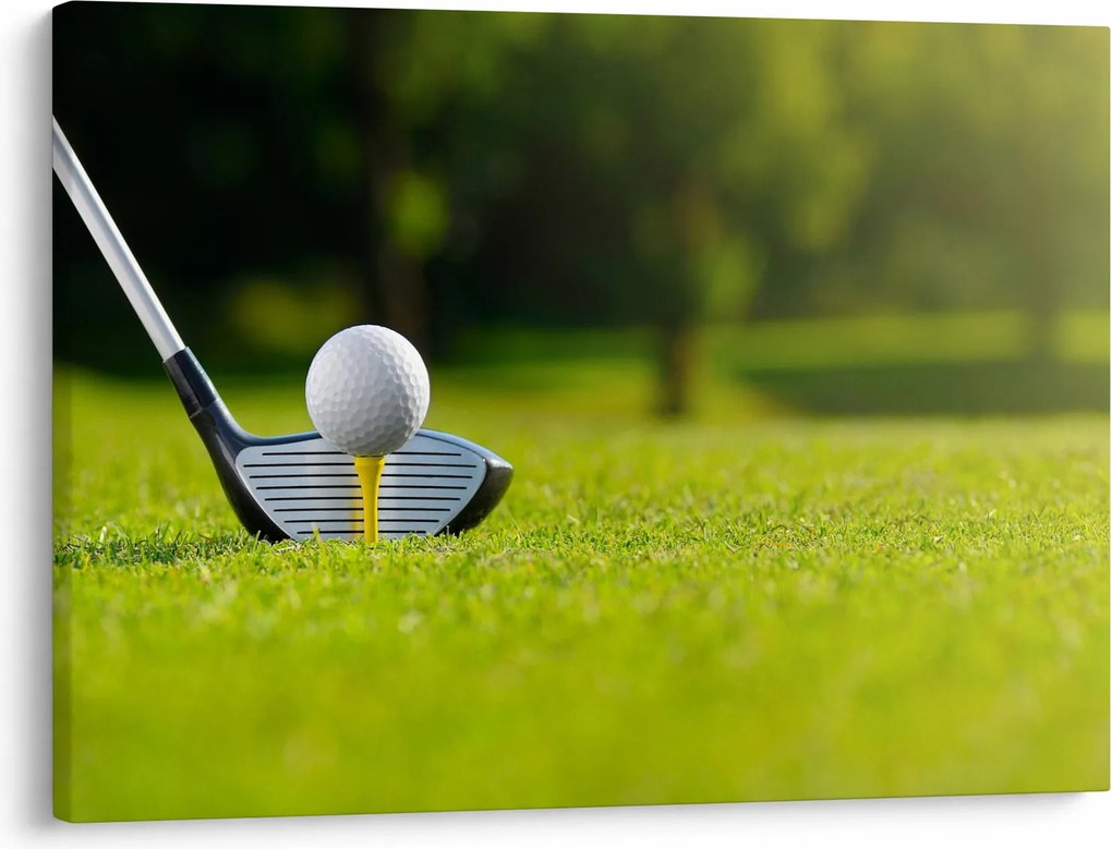 Obraz - Golf (70x50 cm)
