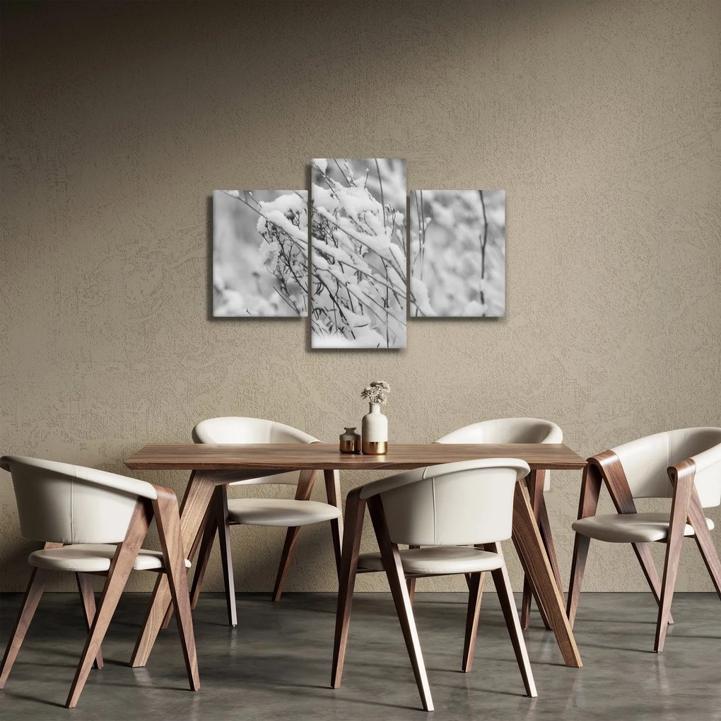 Obraz - Zasnežené vetvy (90x60 cm)