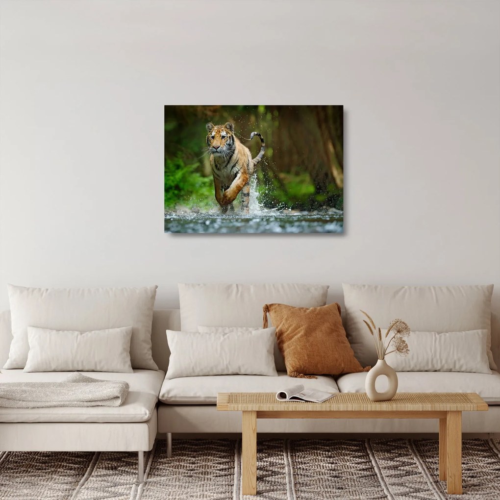 Sklenený obraz bežiaceho tigra (70x50 cm)