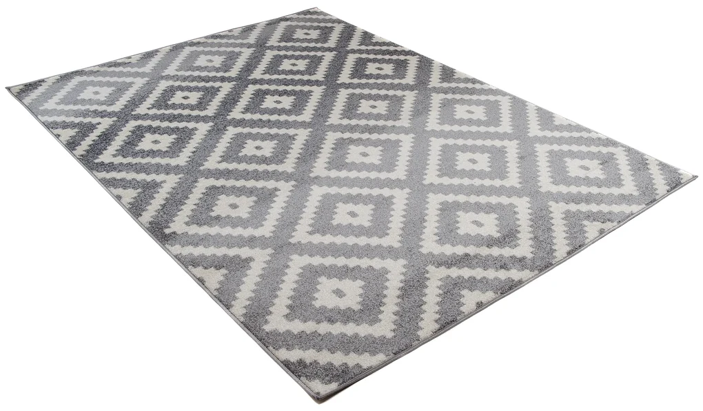 PROXIMA.store - Dizajnový koberec GALLA ROZMERY: 100x250